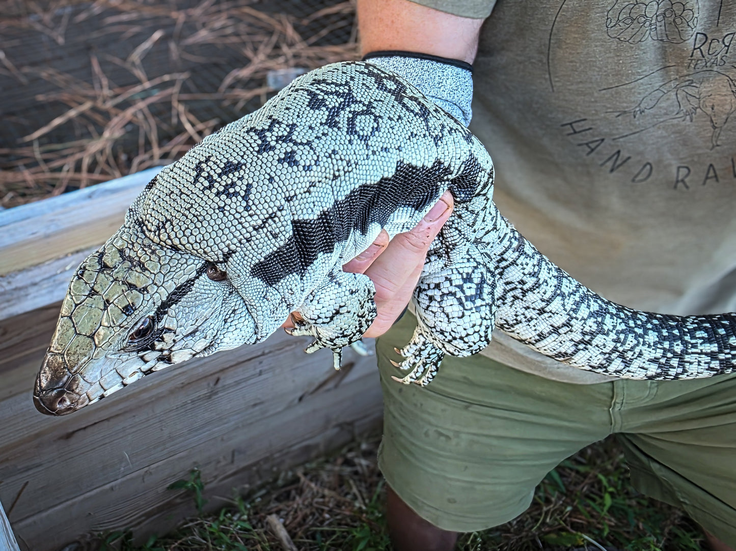Adult Blue Female 1