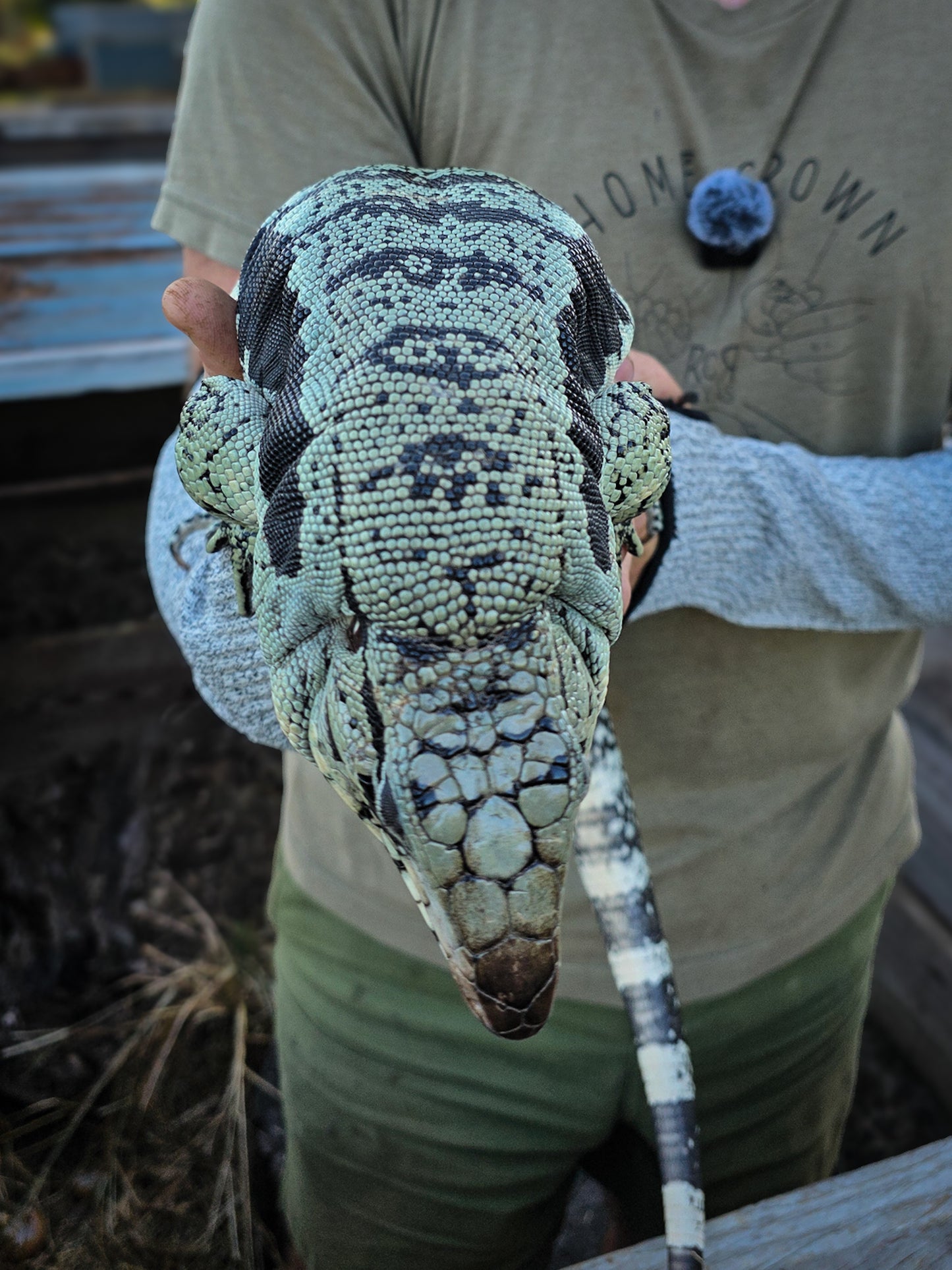 Adult Blue Female 2