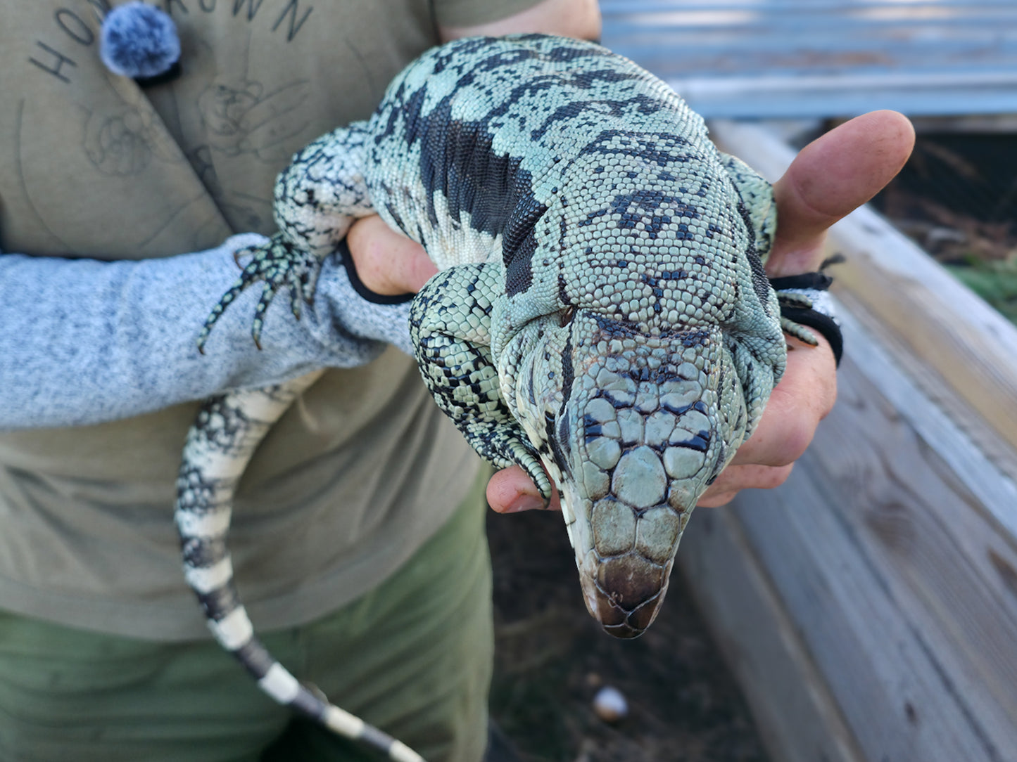 Adult Blue Female 2