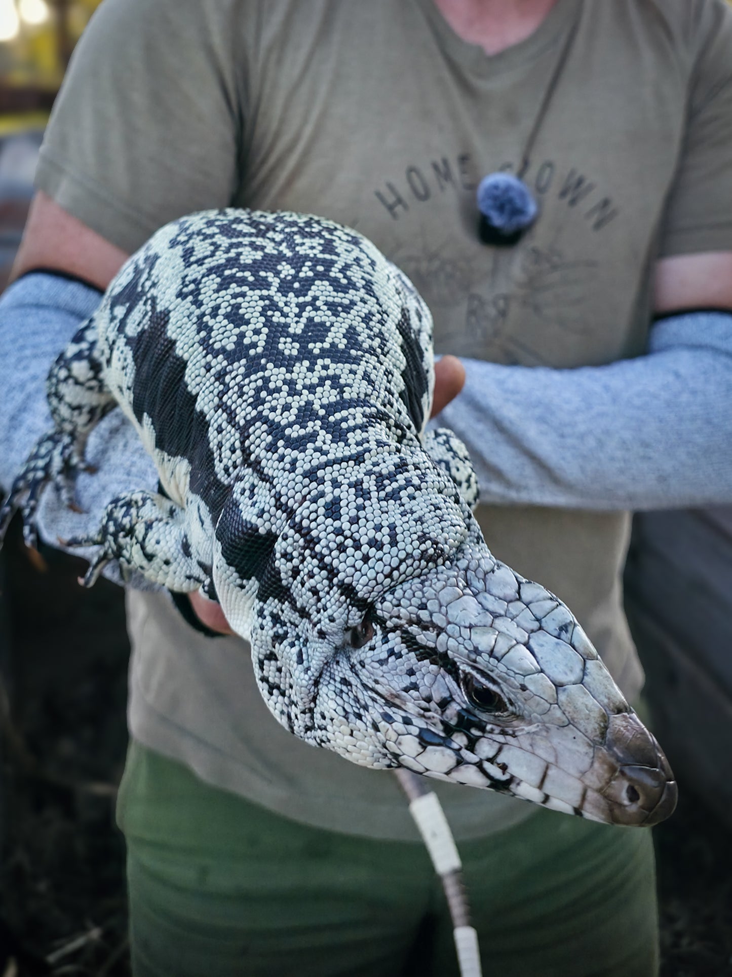 Adult Blue Female 3