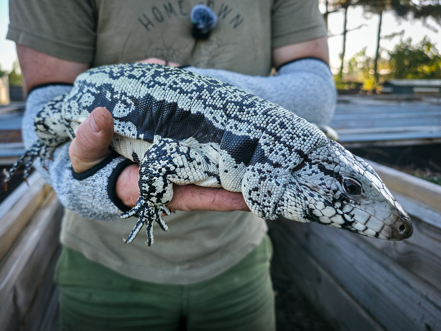 Adult Blue Female 3