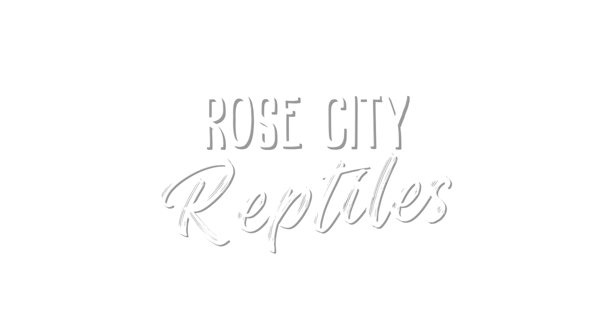 Rose discount city reptiles