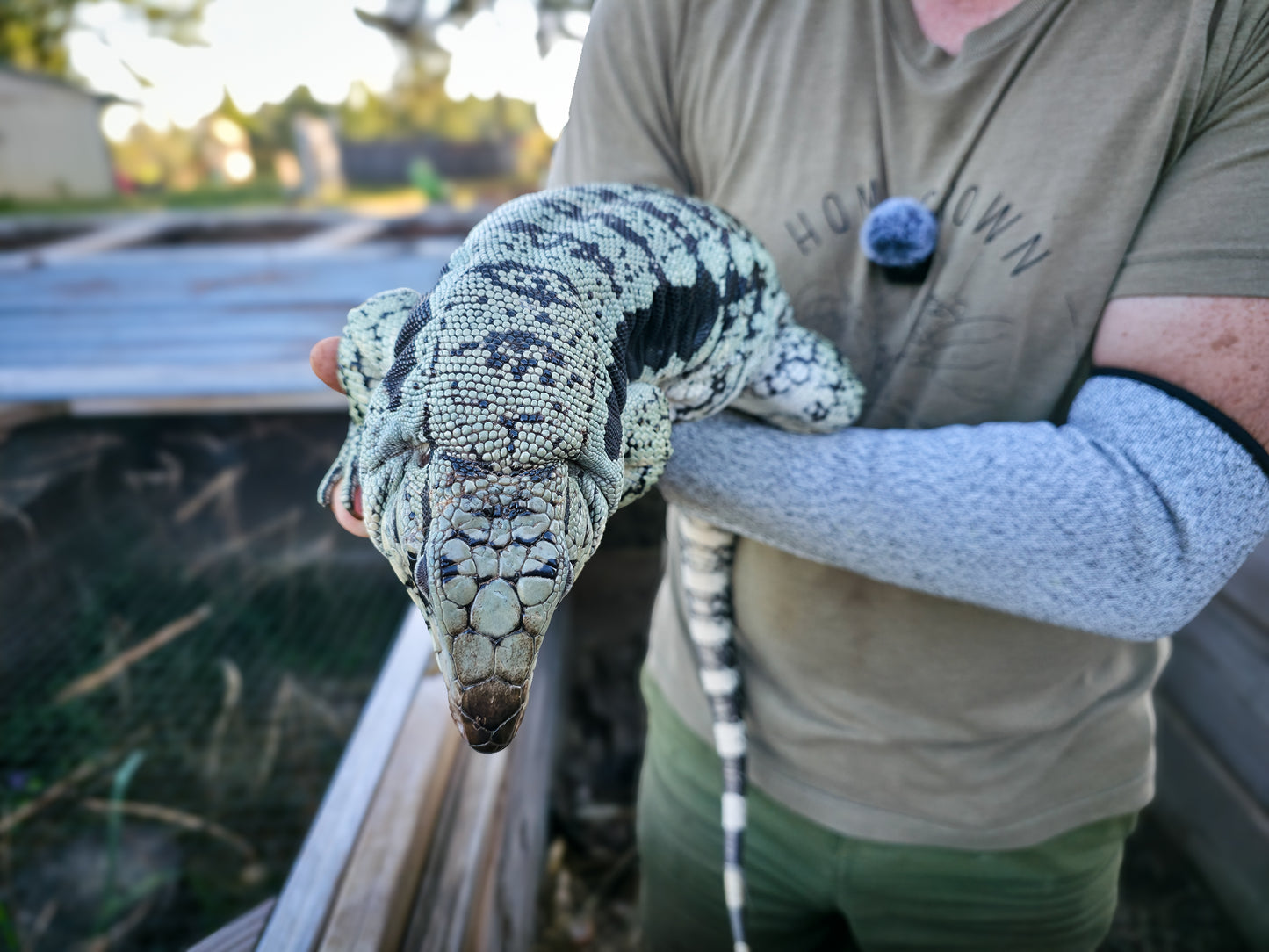 Adult Blue Female 2