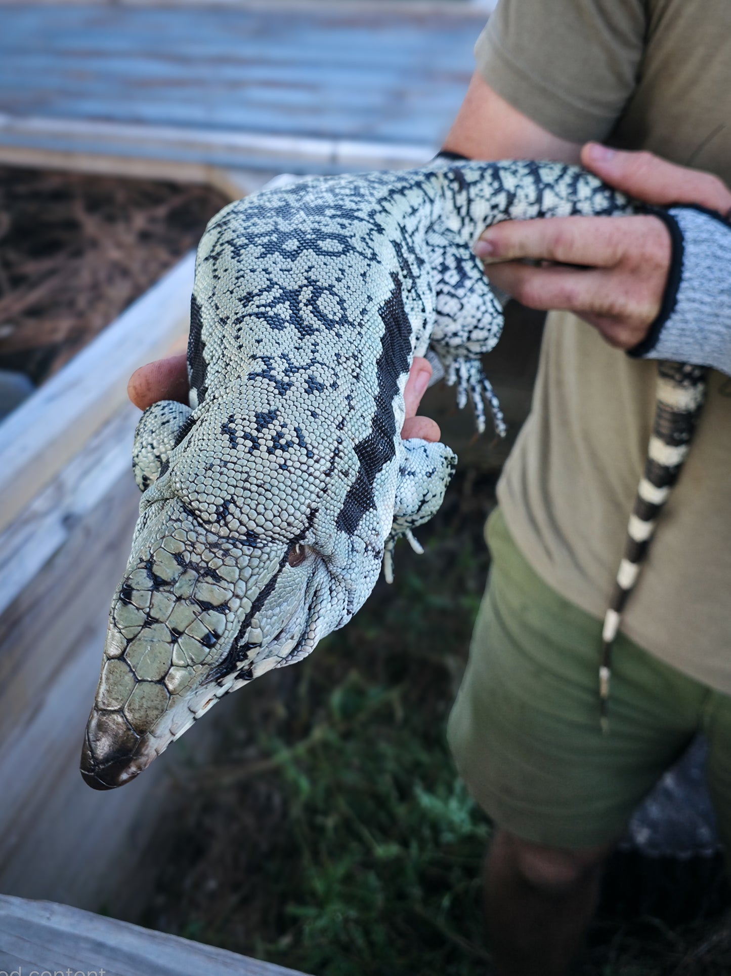 Adult Blue Female 1