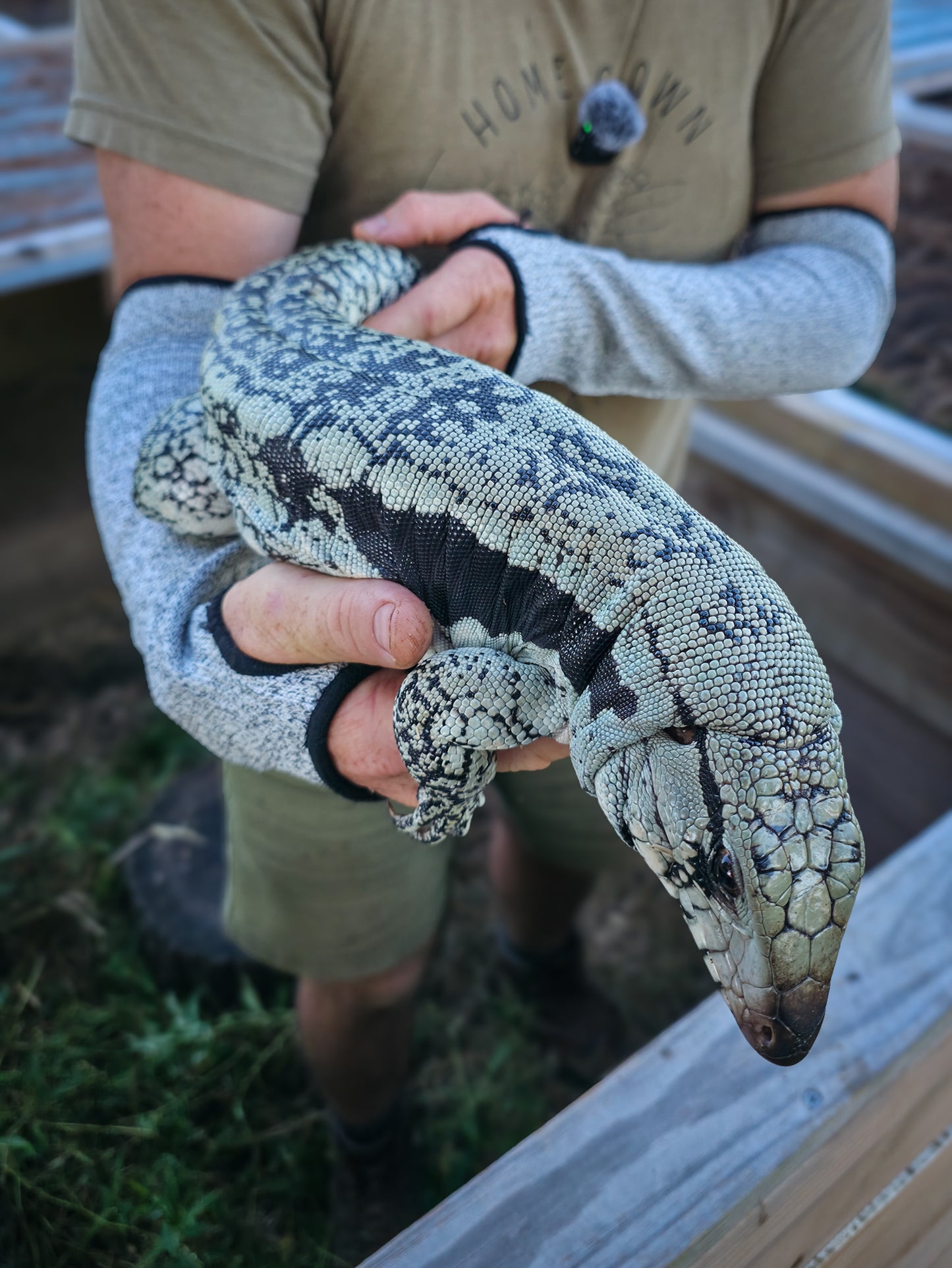 Adult Blue Female 1