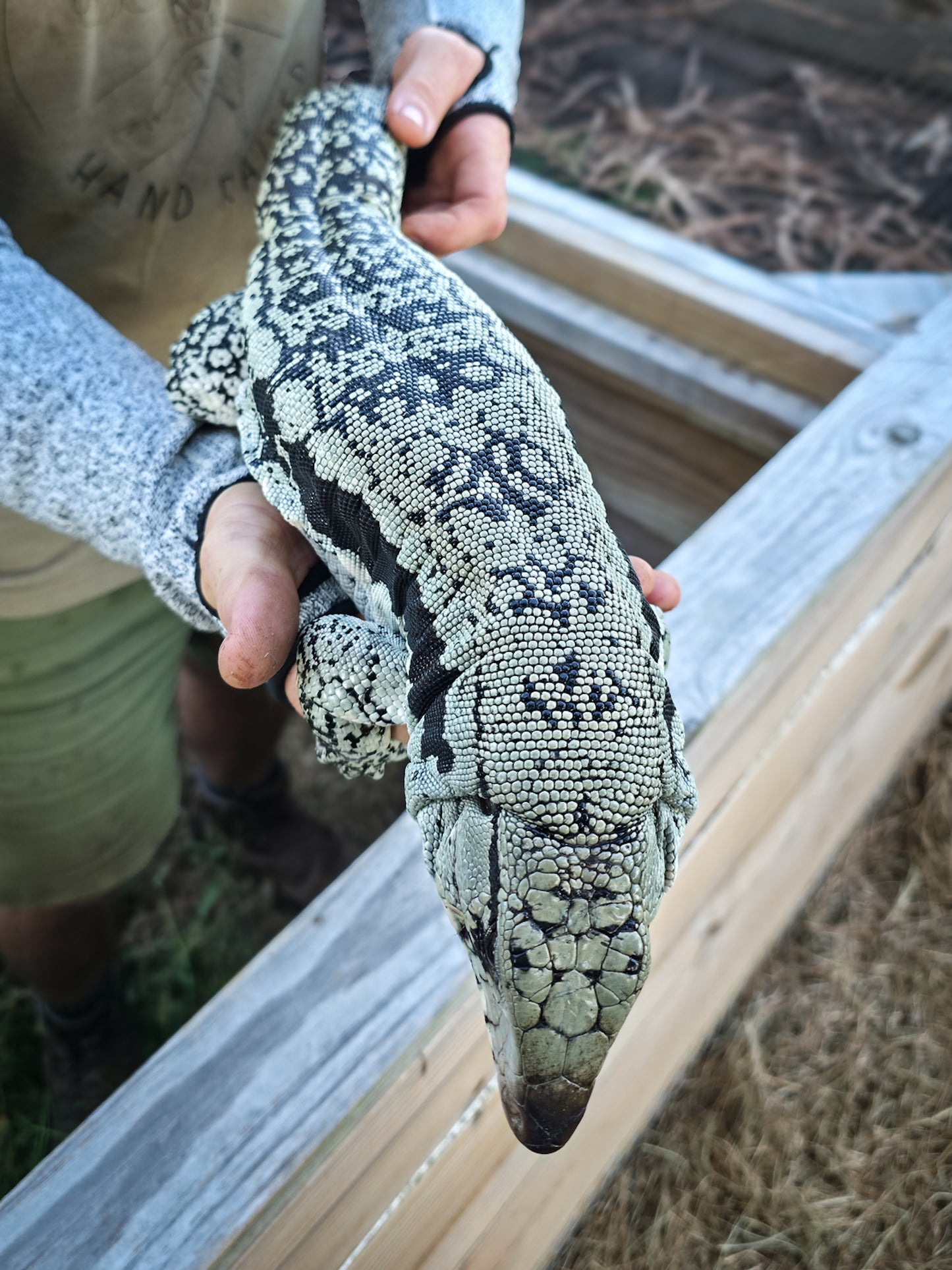 Adult Blue Female 1