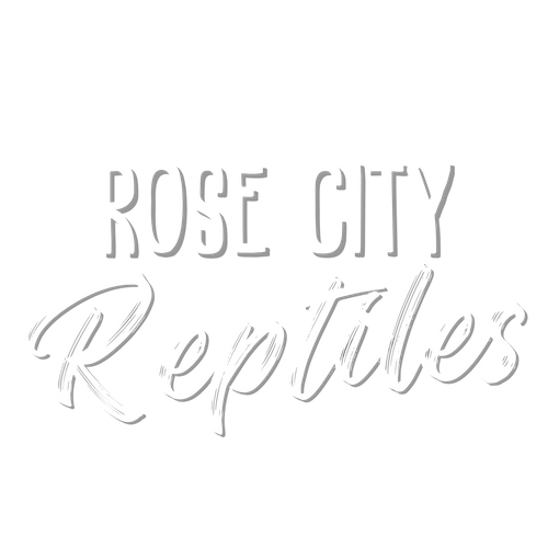 RoseCityReptilesTX